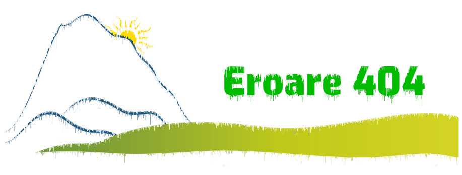Eroare 404